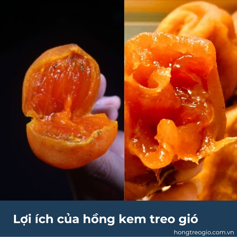 Lợi ích của hồng kem treo gió